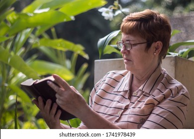 Older Woman Is Reading A Bible She Carries In Her Hands, While Sitting In Her Garden.