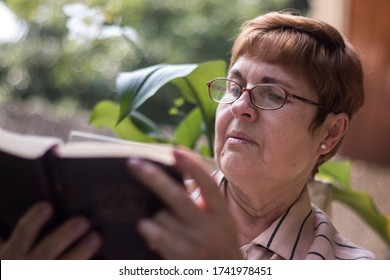 Older Woman Is Reading A Bible She Carries In Her Hands, While Sitting In Her Garden.