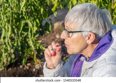 Older Woman With White Hair And Glasses Smoking A Marijuana Cigar With Plants In The Background