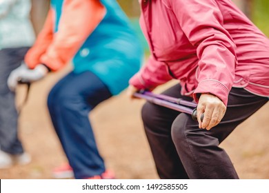 Older Women Are Engaged In Nordic Walking, Close-up Hands With Sticks. Sports Concept In Park.