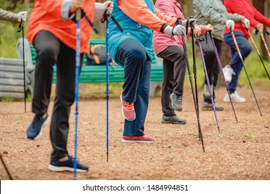 Older Women Go Nordic Walking With Sticks In Coniferous Forest, Concept That Is Good For Fitness.