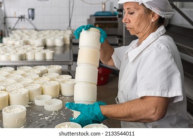 Older Worker Stacking The Moulds Filled With Curds