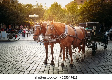 Old-fashioned Coach At Old Town Square in Prague, Czech Republic.