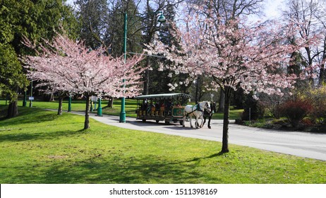 桜背景 おしゃれ Images Stock Photos Vectors Shutterstock