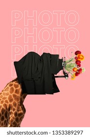 An oldschool photographer. A giraffe's head as a man taking photo by old vintage camera and lens with red and yellow flowers against pink background. Modern design. Contemporary art collage.