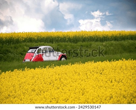 Oldtimer 2CV in Rape fields in bloom on a French country road in Bourgogne
