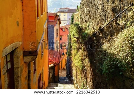 Oldtown narrow hill street, down stairs, traditional architecture, sunshine, Porto, Portugal