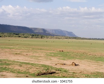 Olduvai Gorge