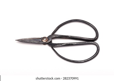 An old(vintage) iron scissors for horticulture(flower, tree, garden) isolated white background at studio. - Powered by Shutterstock