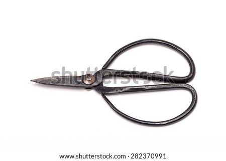 An old(vintage) iron scissors for horticulture(flower, tree, garden) isolated white background at studio.