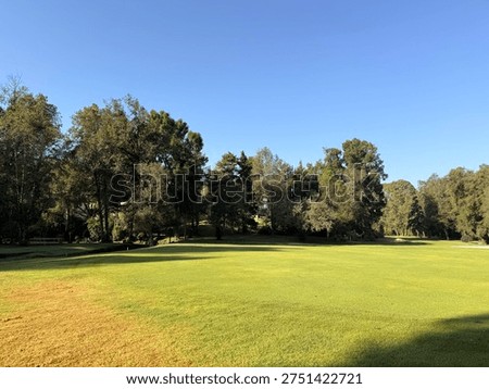 olf course in the evening