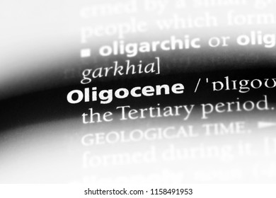 Oligocene Word In A Dictionary. Oligocene Concept.