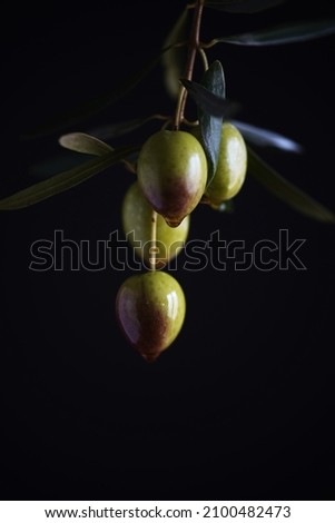             Olio d'oliva con erbe fresche su fondo in legno                   