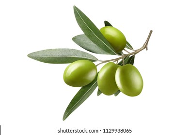 Olive branch with beautiful green olives, isolated on white background