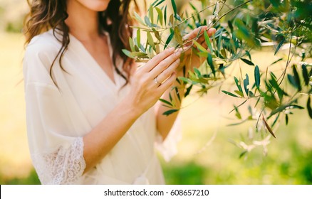 Detail Branch Olive Tree Images, Stock Photos & Vectors | Shutterstock