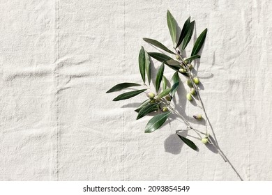 Olive Branch With Olive Fruits On Linen Background. Mockup For Concept Of Wellbeing, Skincare, Beauty Or Healthy Lifestyle.