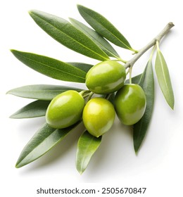 Olive branch with green olives, isolated on white background
 - Powered by Shutterstock