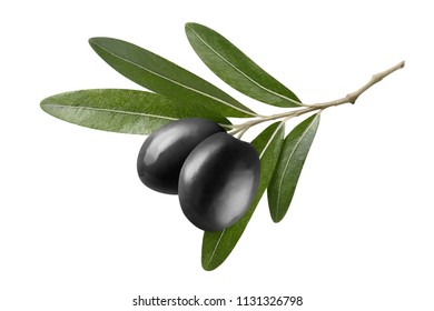 1,645,143 Black branch Images, Stock Photos & Vectors | Shutterstock