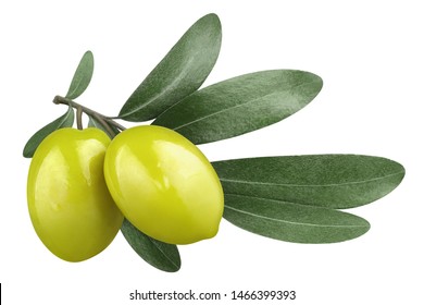 Оливковая ветвь с двумя вкусными зелеными оливками, изолированными на белом фоне