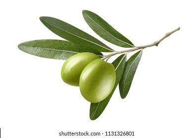 Olive branch with two green olives, isolated on white background