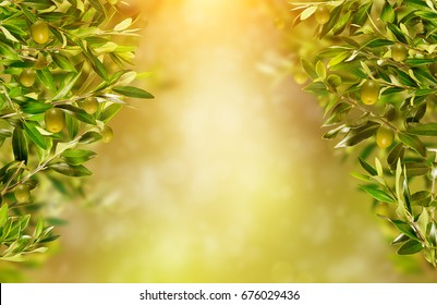 Olive Branches Background, Ready For Product Placement. Copyspace, High Resolution Image