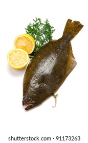 Olive Flounder