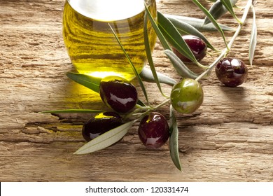 Olive Oil And Olive Branch Backlit On Old Olive Tree