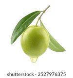 Olive oil dripping from fruits isolated on white background.