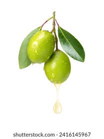 Olive oil drop dripping from fresh olive fruit isolated on white background.
