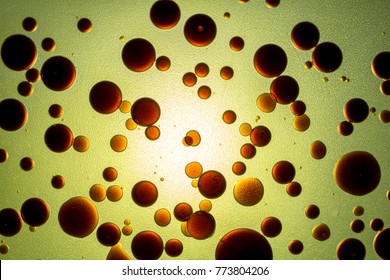 Olive Oil And Vinegar  Balsamic Water  Bubble  Mixture 
Yellow Black Orange Abstract Pattern