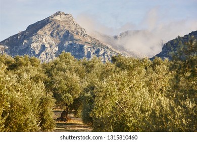 Sierra Magina High Res Stock Images Shutterstock