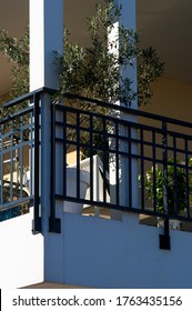 An Olive Tree On A Balcony