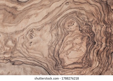 Olive Tree Wood Texture Close-up, Top View