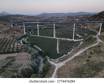Olive trees under highway bridge. Andalusian landscapes. - Shutterstock ID 1774476284