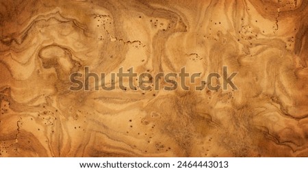 Olive Wood Texture Background, Solid Wooden Burr or Burl Pattern, Burled Wood Wallpaper, Bubinga, Afzelia Mockup with Copy Space