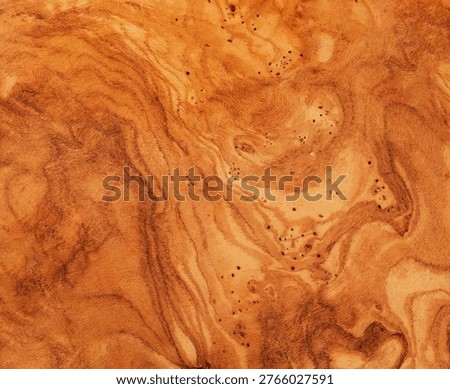 Olive Wood Texture Background, Solid Wooden Burr or Burl Pattern, Burled Wood Wallpaper, Bubinga, Afzelia Mockup with Copy Space