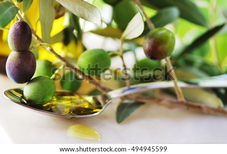 Oliveoil and olives on branch.