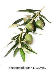 Olives on branch with leaves isolated on white.
