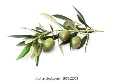 Olives on branch with leaves isolated on white.