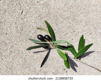 Olives on the branch. Stone background - Shutterstock ID 2138808733