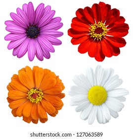 ollage with colorful flowers
