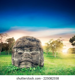 Olmec Colossal Head In The Ancient City Of La Venta