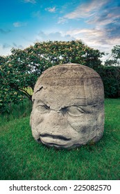 Olmec Colossal Head In The Ancient City Of La Venta