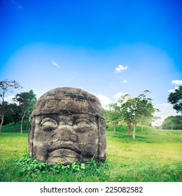 Olmec Colossal Head In The Ancient City Of La Venta