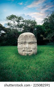 Olmec Colossal Head In The Ancient City Of La Venta