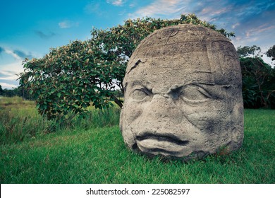 Olmec Colossal Head In The Ancient City Of La Venta