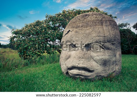 Olmec Colossal Head in the ancient city of La Venta