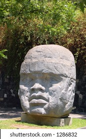 Olmec Head