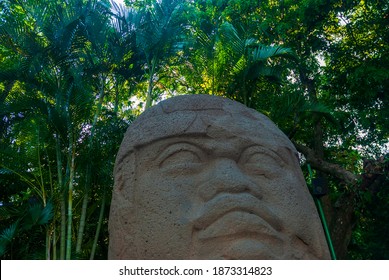 Olmec Head In Villahermosa, Mexico
