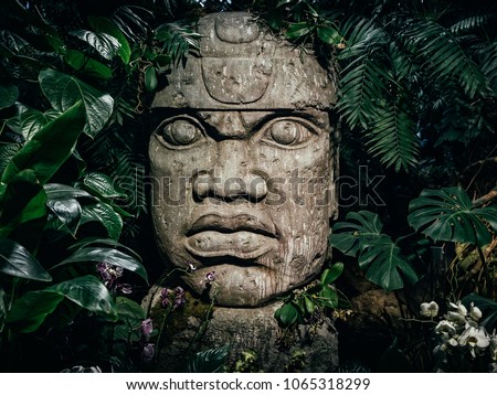 Olmec sculpture carved from stone. Mayan symbol - Big stone head statue in a jungle
